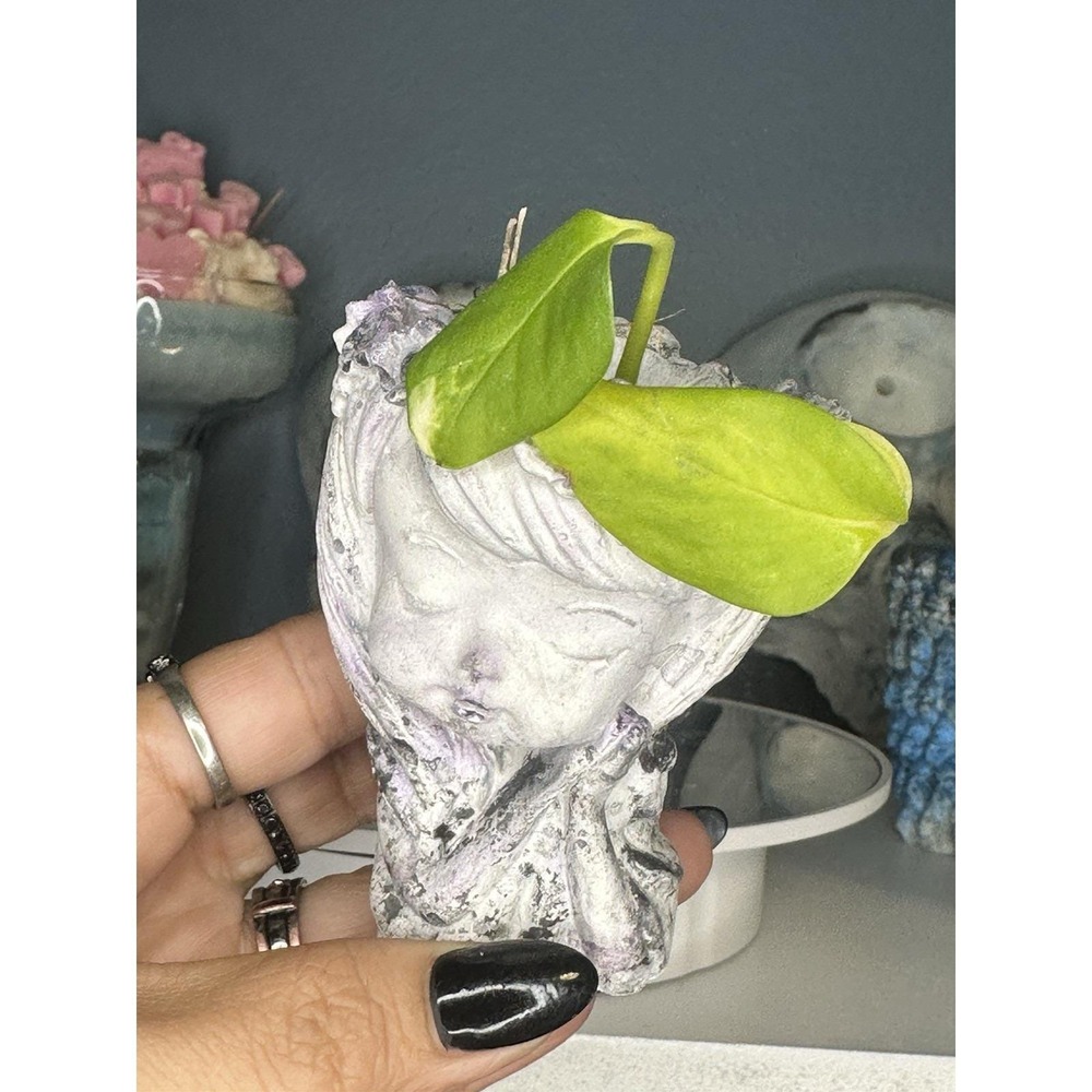 2 Little Girl Concrete Pot Lilac Handmade Cement Succulent Plant Pot